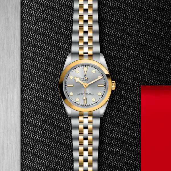 Tudor Black Bay One 31mm S&G