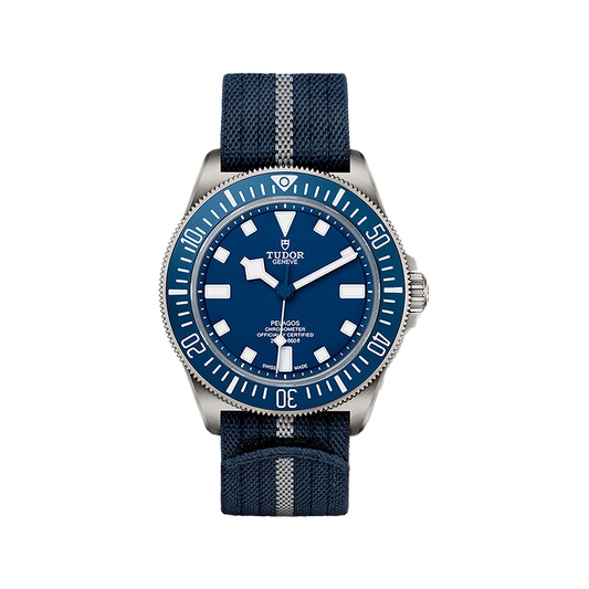 Tudor Pelagos FXD 42mm