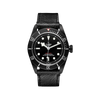 Tudor Heritage Black Bay Dark 41mm