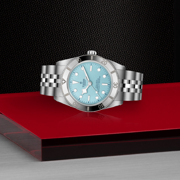 Tudor Black Bay 54 37 mm