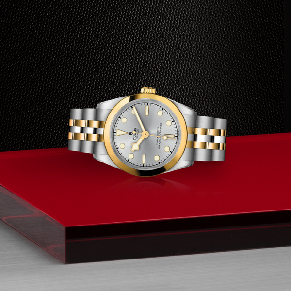 Tudor Black Bay One 31mm S&G