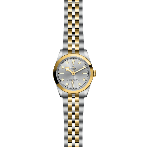 Tudor Black Bay One 31mm S&G