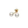 Mikimoto Classic Pearl Stud Earrings 18K Yellow Gold 7-7.5MM