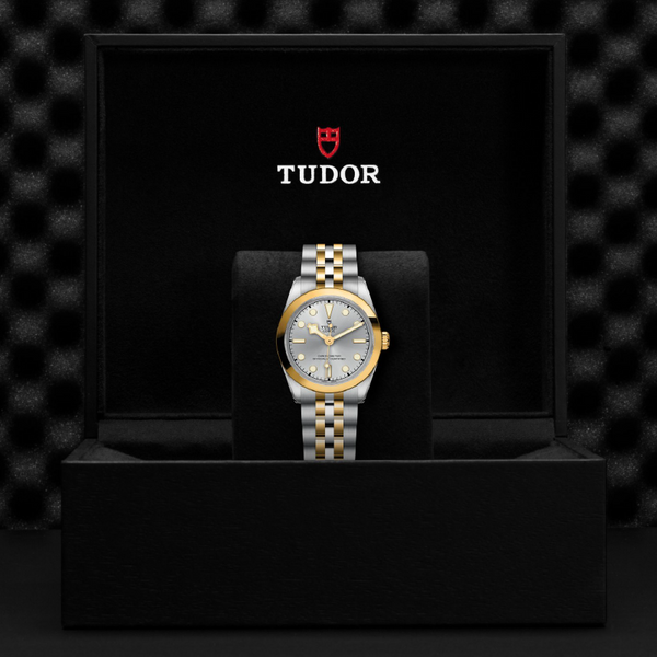 Tudor Black Bay One 31mm S&G